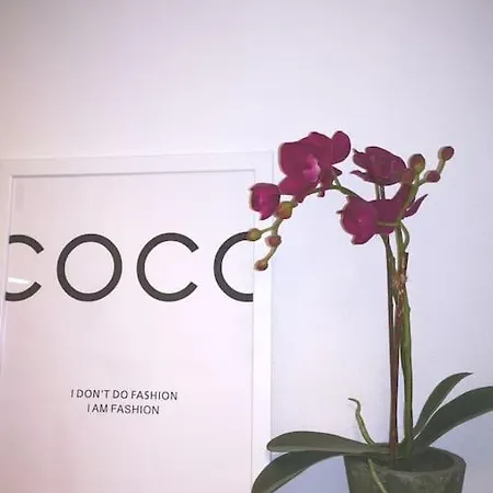 Boutique