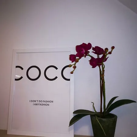Boutique Apartment *